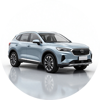 Car rentals
